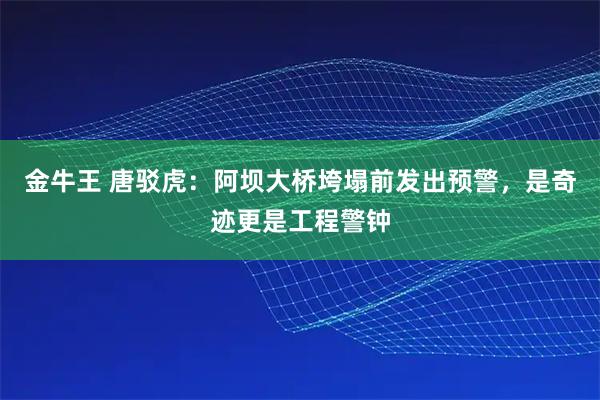 金牛王 唐驳虎:阿坝大桥垮塌前发出预警,是奇迹更是工程警钟