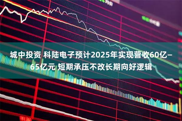 城中投资 科陆电子预计2025年实现营收60亿—65亿元 短期承压不改长期向好逻辑