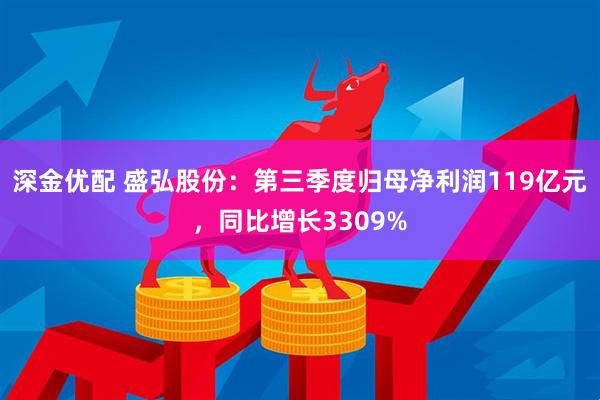 深金优配 盛弘股份：第三季度归母净利润119亿元，同比增长3309%
